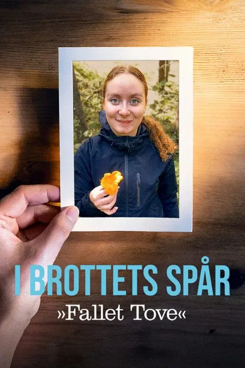 I brottets spår: Fallet Tove poster