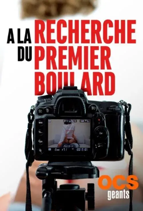 Raiders of the first porn poster
