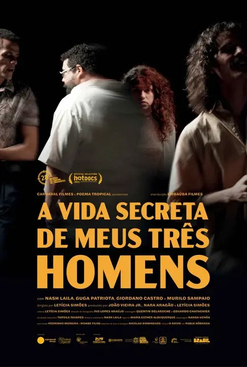 The Secret Lives of My Three Men poster
