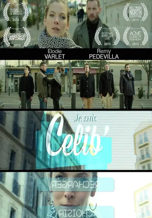 Je suis célib poster