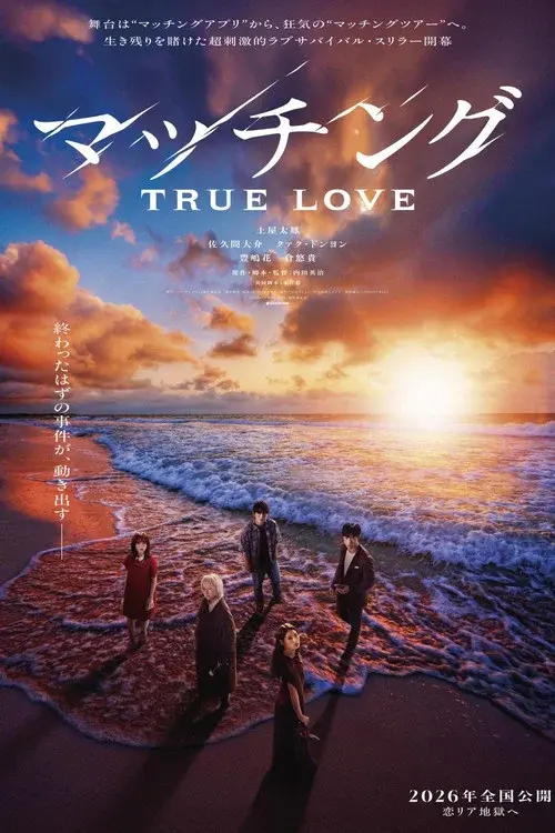 Matched: True Love poster
