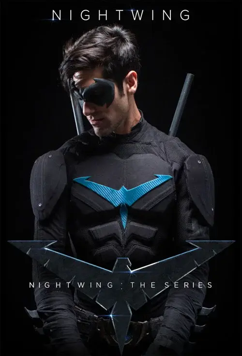 Nightwing: The Series poster