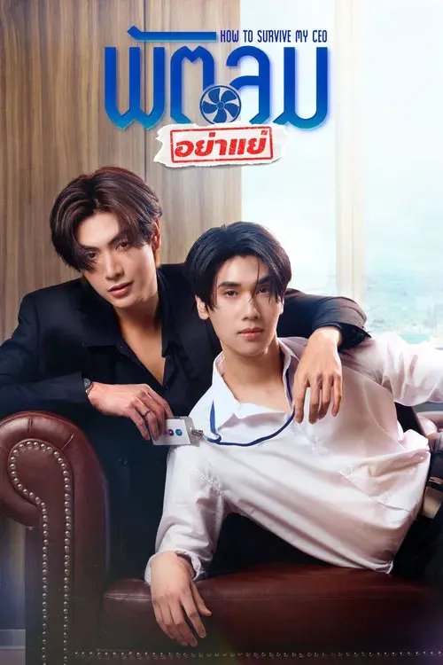 How to Survive My CEO poster