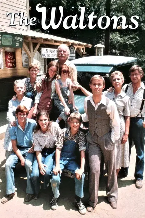 The Waltons poster